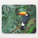 Search for bird mousepads Green