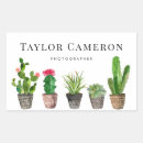 Search for watercolor cactus stickers Boho