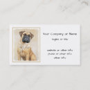 Search for bullmastiffs Puppy
