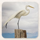 Search for wild animal coasters Bird