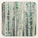 Search for aspen coasters Leaf