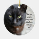 Search for cat lover christmas tree decorations Animal