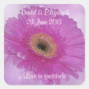 Search for gerber daisies stickers Flower
