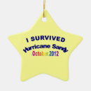 Search for hurricane christmas tree decorations Survived