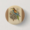 Search for illustrations badges Bird