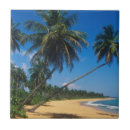 Search for caribbean tiles Tropics