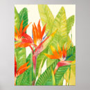 Search for bird of paradise art posters Tropical