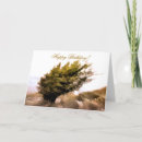 Search for windswept Trees