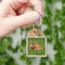 Search for young animal key rings Nature