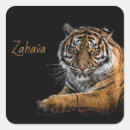 Search for gold tiger stickers Safari