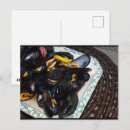 Search for shellfish postcards Seafood