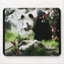 Search for cute panda mousepads Nature