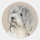 Search for havanese dog stickers Bichon havanais