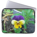 Search for pansy small electronics Pretty