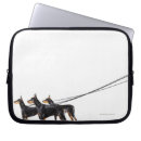 Search for dobermans electronics Animals