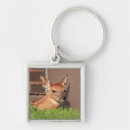 Search for fawns key rings Nature