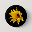 Search for helenium Yellow