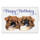 Search for tibetan spaniel Pets