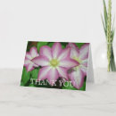 Search for vine cards Floral