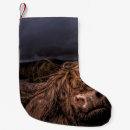 Search for scotland christmas stockings Nature
