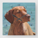 Search for vizsla art Animals