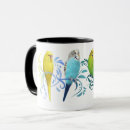 Search for budgerigar mugs Parakeet