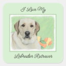 Search for labrador stickers Retriever
