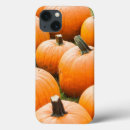 Search for sale cases Autumn