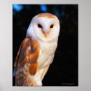 Search for selective focus art White