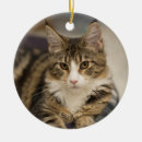 Search for maine coon christmas tree decorations Cute