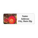 Search for desert flowers return address labels Cactus
