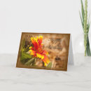 Search for christian birthday cards Floral