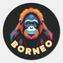 Search for borneo stickers Wildlife