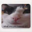 Search for calico electronics White