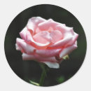 Search for close stickers Beautiful