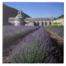 Search for provencal tiles Architecture
