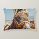 Search for donkey cushions Wildlife