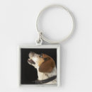 Search for beagle dog key rings Animals