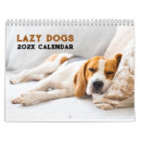 Search for funny dog calendars Puppy