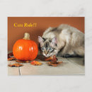 Search for stalking postcards Pumpkin