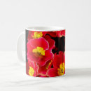 Search for primula mugs For her
