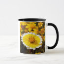 Search for borrego mugs Bloom
