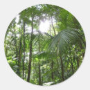 Search for sunlight stickers Nature