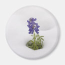 Search for bonnet magnets Garden