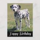 Search for dalmatian lover cards Puppy