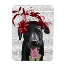 Search for fascination magnets Fascinator