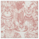 Search for bengal rose Kitten