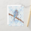 Search for budgie postcards Blue