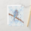 Search for budgie postcards Cute