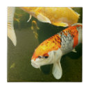 Search for gold fish tiles Carp